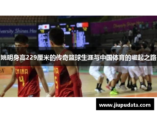 姚明身高229厘米的传奇篮球生涯与中国体育的崛起之路