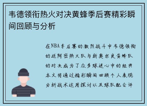 韦德领衔热火对决黄蜂季后赛精彩瞬间回顾与分析